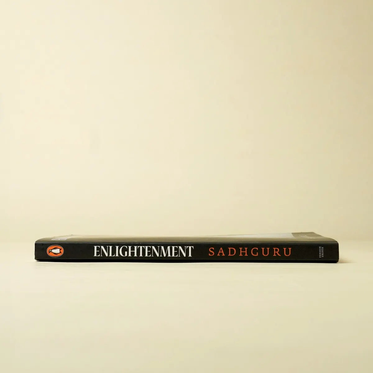 Enlightenment : A New Beginning (English)