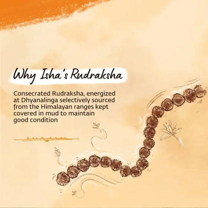 Authentic Isha Panchamukhi (five-faced) Rudraksha Mala. Your cocoon of energy (5 mm)