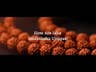Authentic Isha Panchamukhi (five-faced) Rudraksha Mala. Energized at Dhyanalinga. Your cocoon of energy (8 mm)