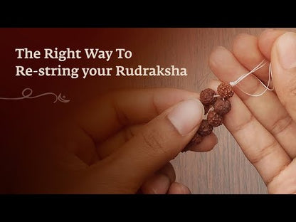 Authentic Isha Panchamukhi (five-faced) Rudraksha Mala. Energized at Dhyanalinga. Your cocoon of energy (7 mm)