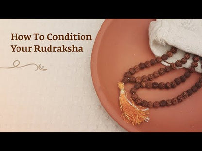 Authentic Isha Panchamukhi (five-faced) Rudraksha Mala. Energized at Dhyanalinga. Your cocoon of energy (7 mm)