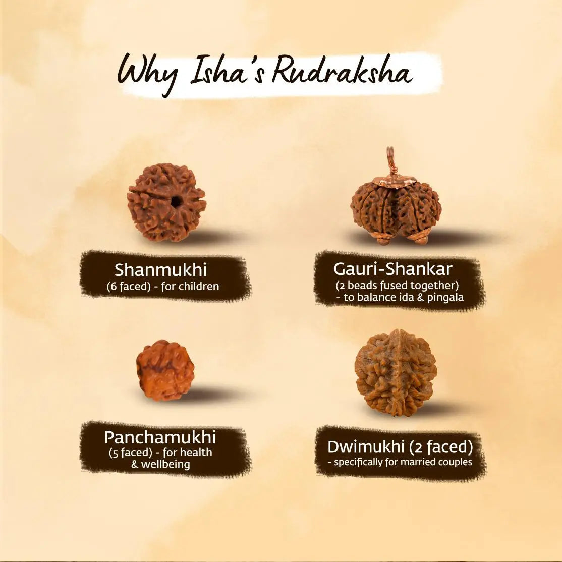 Authentic Isha Panchamukhi (five-faced) Rudraksha Mala. Energized at Dhyanalinga. Your cocoon of energy (7 mm)