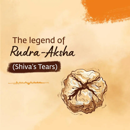 Authentic Isha Panchamukhi (five-faced) Rudraksha Mala. Energized at Dhyanalinga. Your cocoon of energy (7 mm)